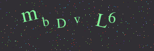 Validation image