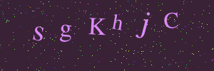 Validation image