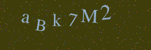 Validation image