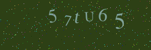 Validation image
