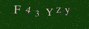 Validation image