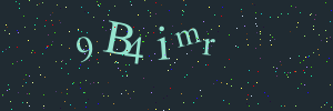 Validation image