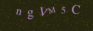 Validation image