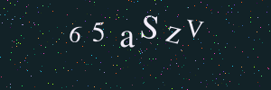 Validation image