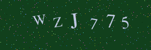 Validation image