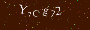 Validation image
