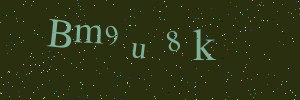 Validation image