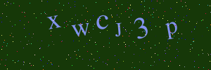 Validation image