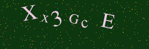 Validation image