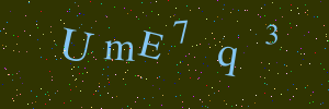 Validation image