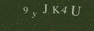 Validation image
