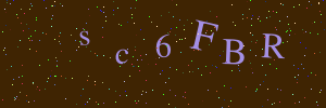 Validation image