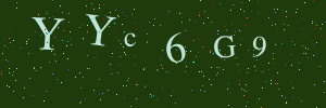 Validation image