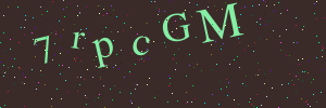 Validation image