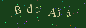 Validation image