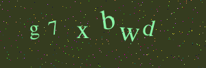 Validation image