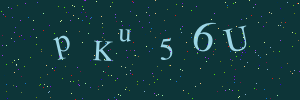Validation image