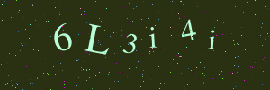 Validation image