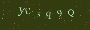Validation image