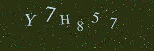 Validation image