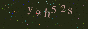 Validation image